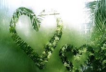 包含德约科维奇迎来七赛季高光表现，DWG球迷沸腾！的词条